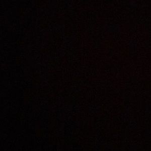 Meet your Posher, Bailey